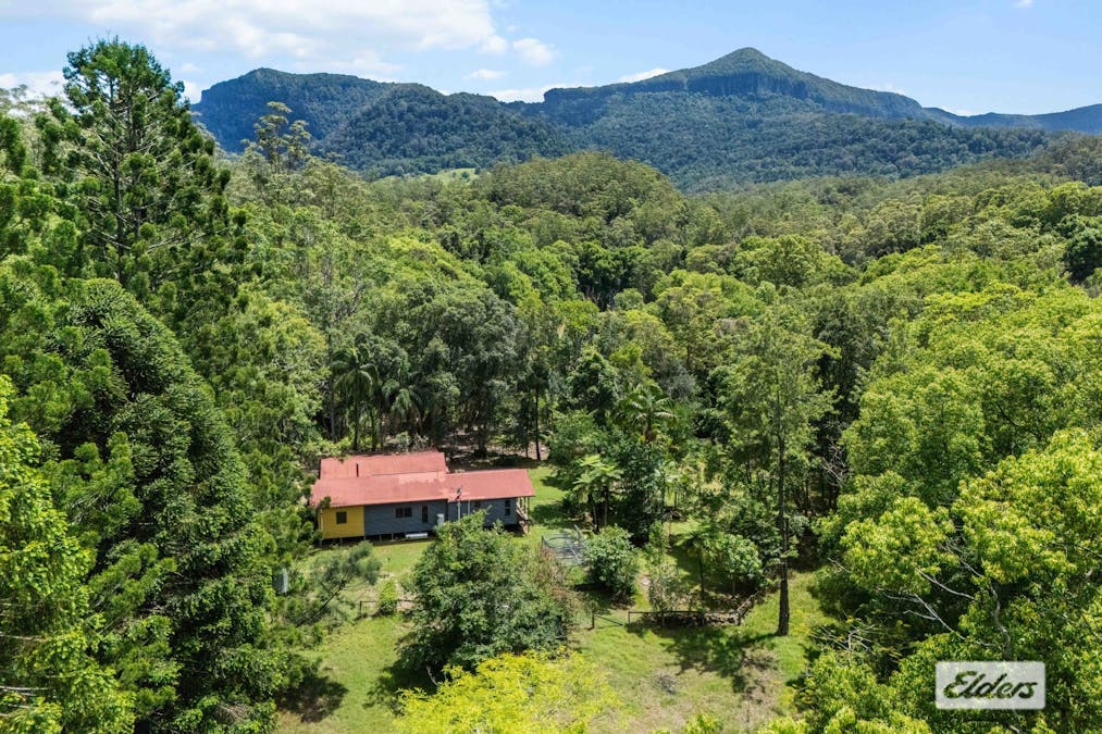 1984  Numinbah Road, Numinbah, NSW, 2484 - Image 25