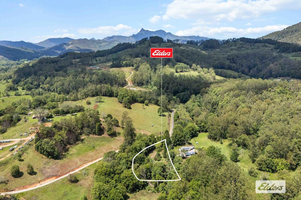 1984  Numinbah Road, Numinbah, NSW, 2484 - Image 27