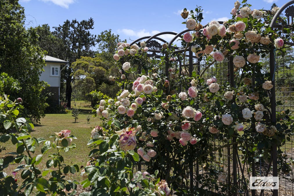 8462 Tweed Valley Way, Tumbulgum, NSW, 2490 - Image 20