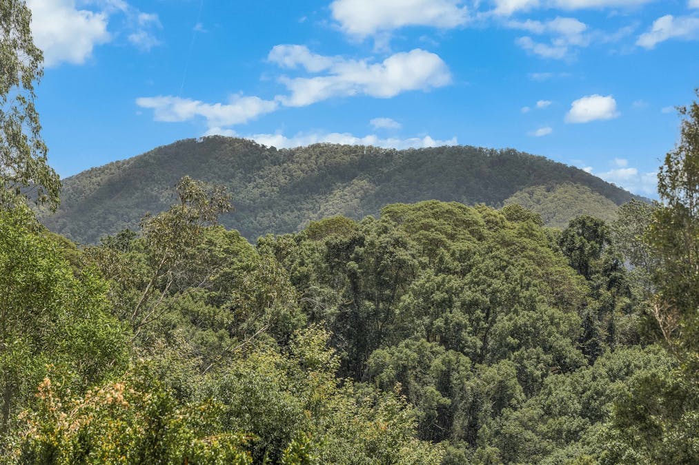 34 Clareville Road, Uki, NSW, 2484 - Image 20