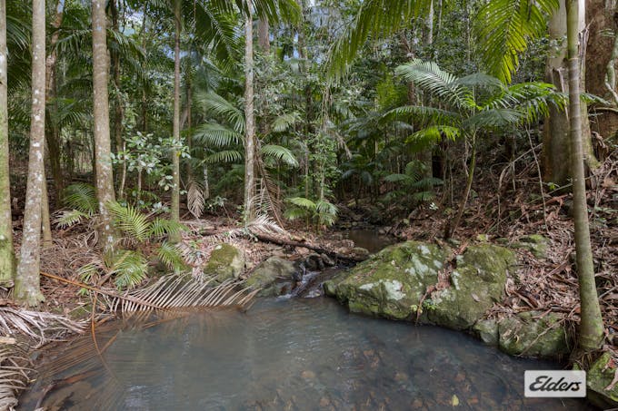 374 Couchy Creek Road, Numinbah, NSW, 2484 - Image 1