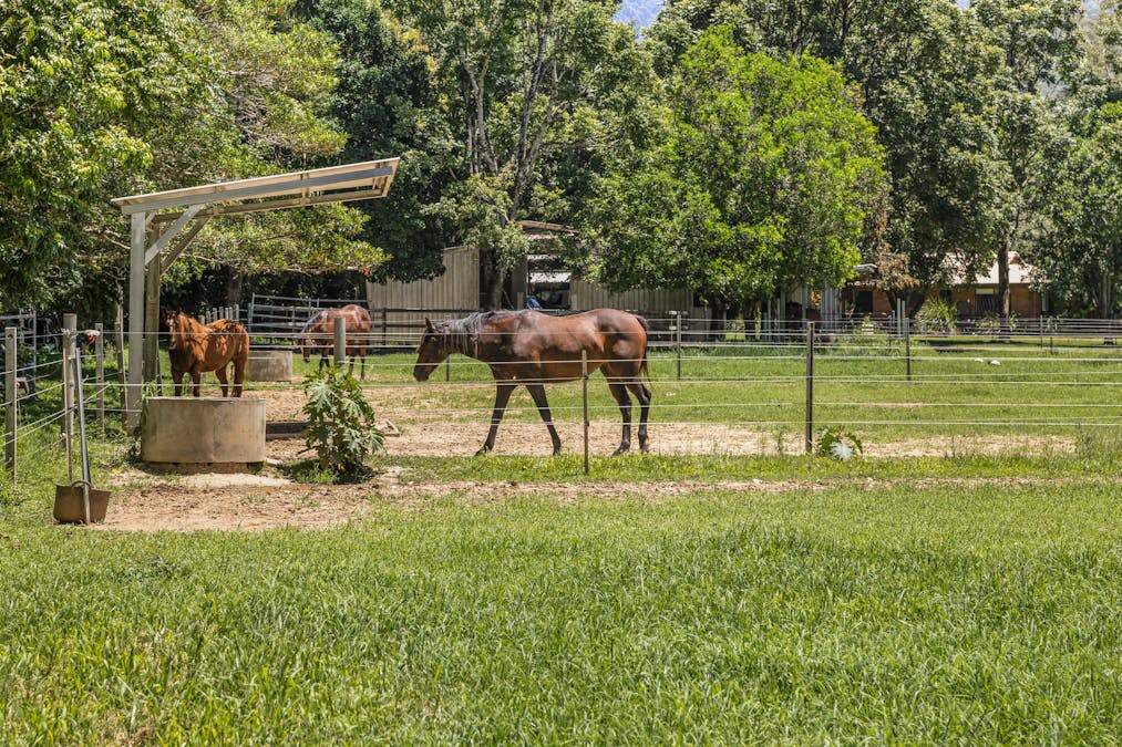 95 Upper Crystal Creek Road, Crystal Creek, NSW, 2484 - Image 7