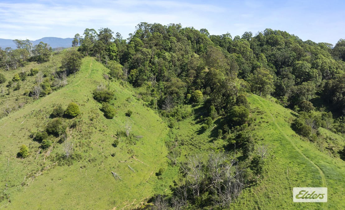 69 Blakeneys Road, Stokers Siding, NSW, 2484 - Image 24