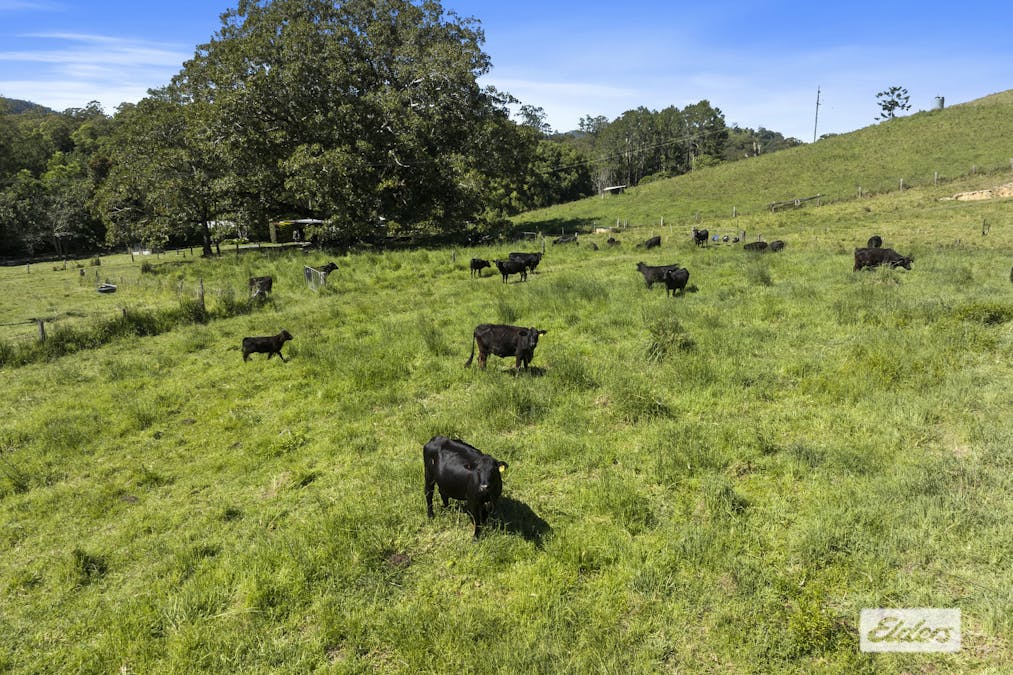 69 Blakeneys Road, Stokers Siding, NSW, 2484 - Image 33