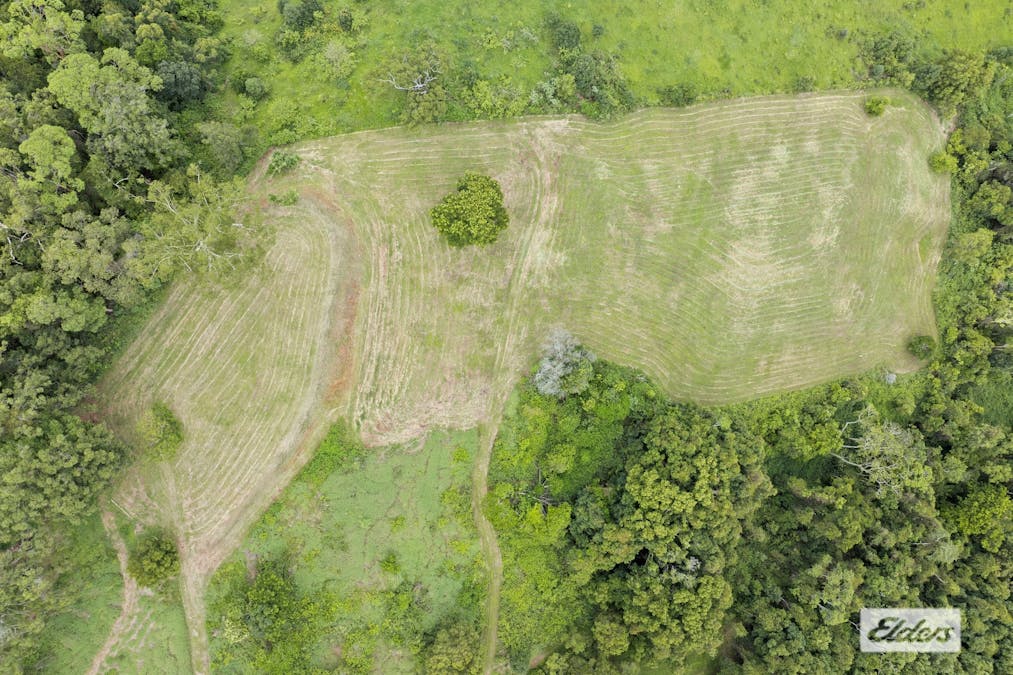 100 Clareville Road, Uki, NSW, 2484 - Image 1