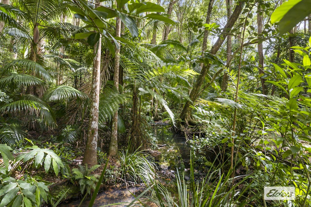 6 Chevell Place, Uki, NSW, 2484 - Image 3