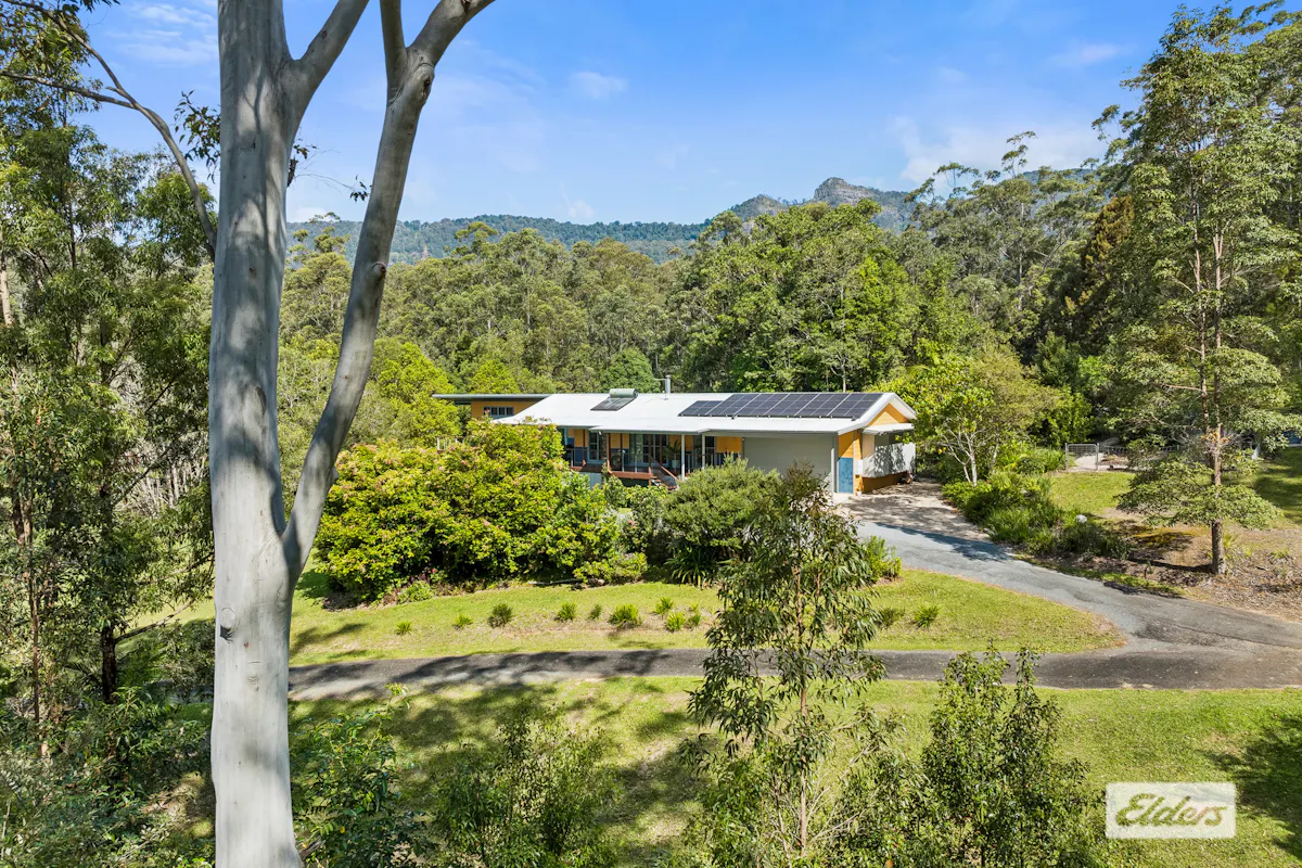 29 Waratah Court — photo 18 of 30