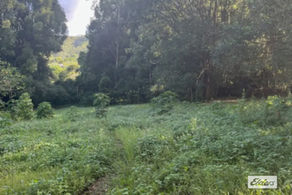 782 Smiths Creek Road, Stokers Siding, NSW, 2484 - Image 2