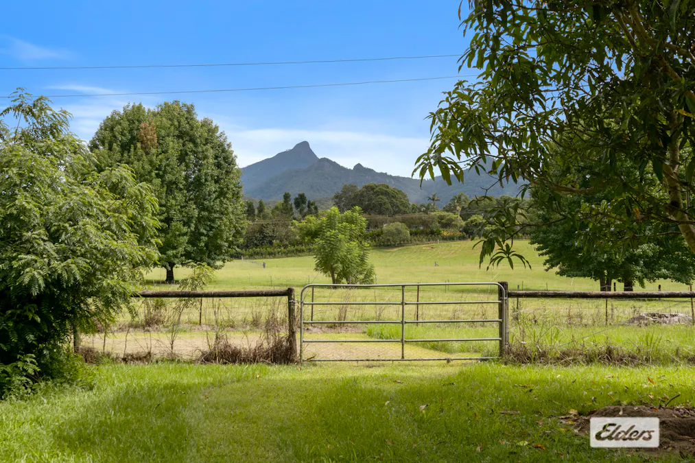 32 Chowan Creek Road, Rowlands Creek, NSW, 2484 - Image 4