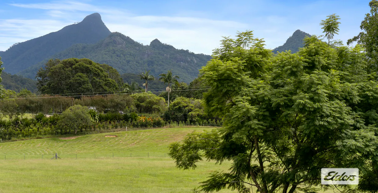 32 Chowan Creek Road, Rowlands Creek, NSW, 2484 - Image 6