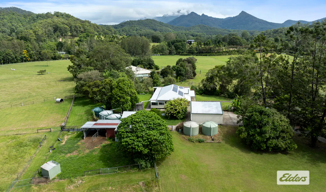32 Chowan Creek Road, Rowlands Creek, NSW, 2484 - Image 26