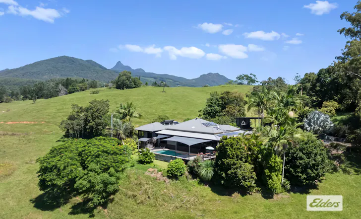225 Tyalgum Road, Eungella, NSW, 2484 - Image 1