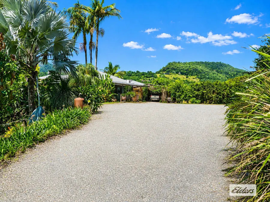 225 Tyalgum Road, Eungella, NSW, 2484 - Image 30