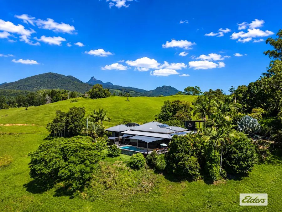 225 Tyalgum Road, Eungella, NSW, 2484 - Image 1