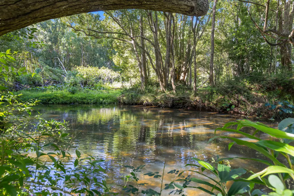 241 Burringbar Road, Burringbar, NSW, 2483 - Image 11