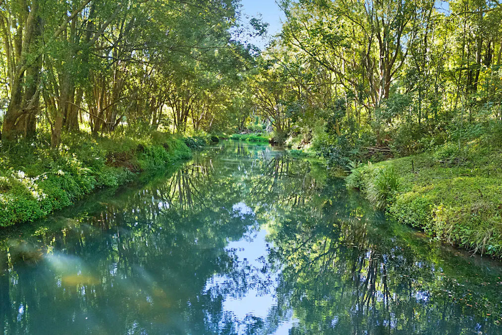 241 Burringbar Road, Burringbar, NSW, 2483 - Image 31