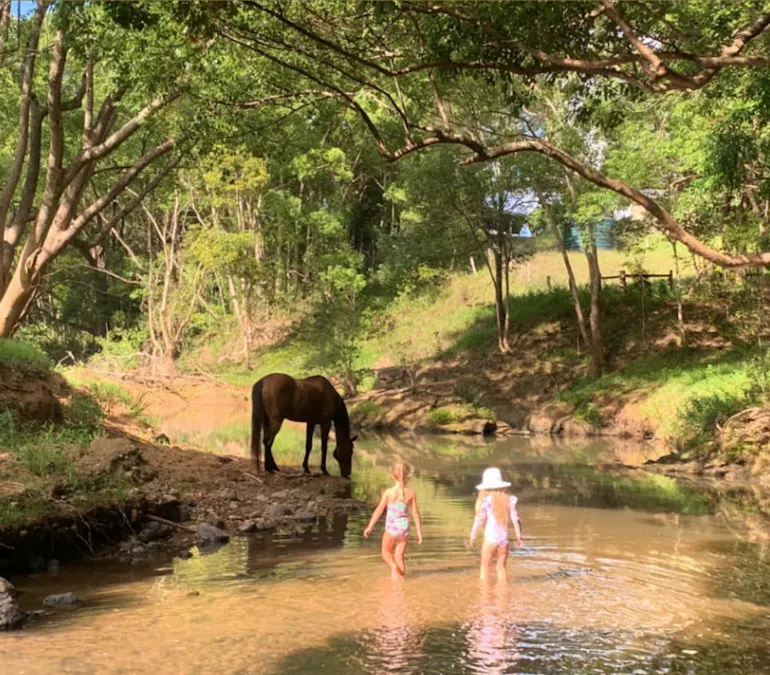 241 Burringbar Road, Burringbar, NSW, 2483 - Image 35