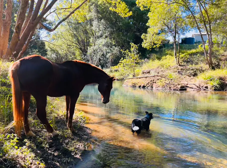 241 Burringbar Road, Burringbar, NSW, 2483 - Image 34