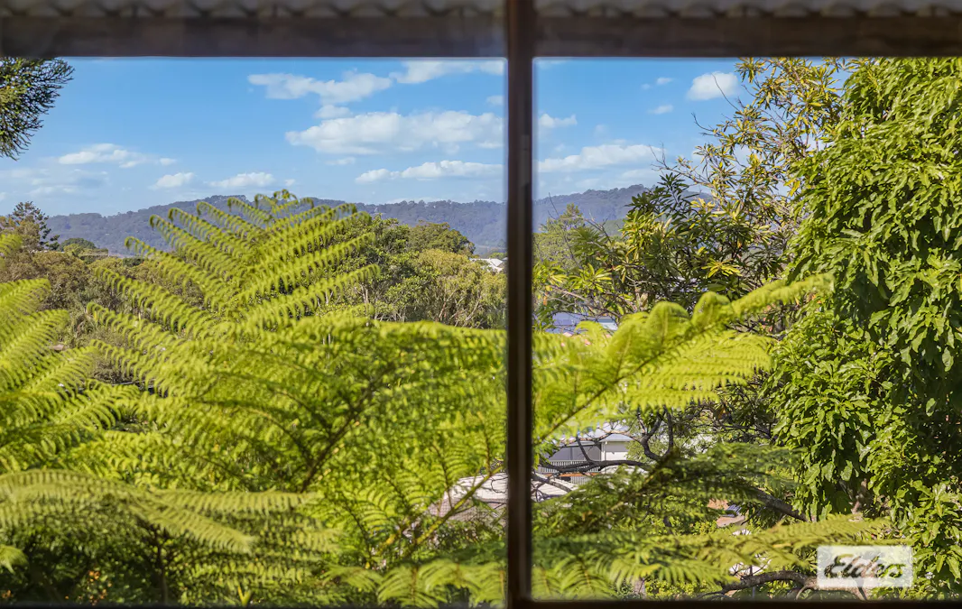 22 Barnby Street, Murwillumbah, NSW, 2484 - Image 14
