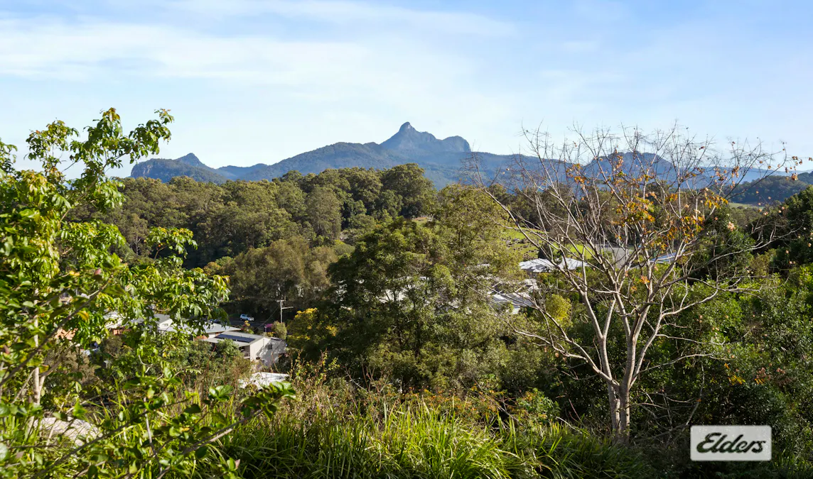 178A Byangum Road, Murwillumbah, NSW, 2484 - Image 5
