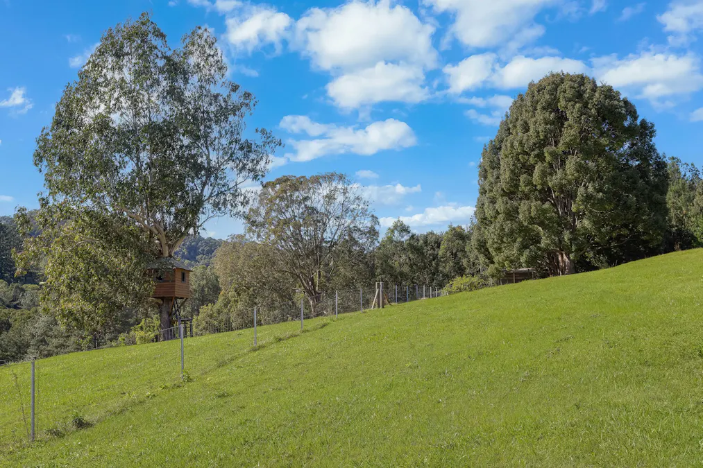 Uki, NSW, 2484 - Image 26