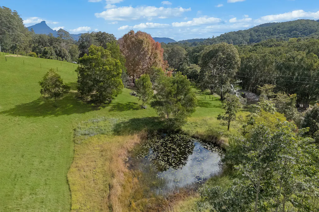 Uki, NSW, 2484 - Image 29