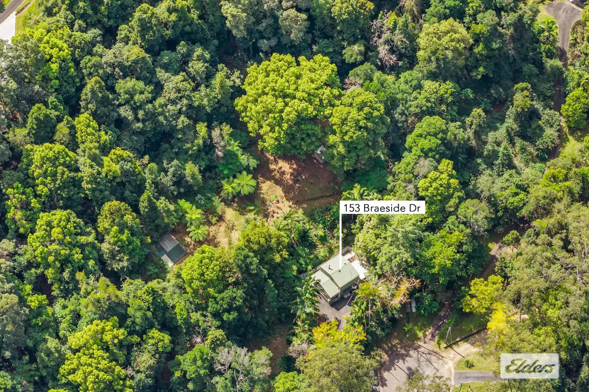 153 Braeside Drive — photo 3 of 30