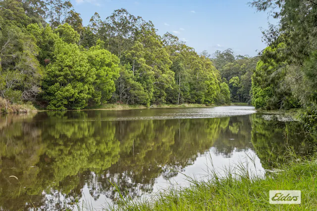895 Limpinwood Road — photo from Elders Real Estate Tweed Valley