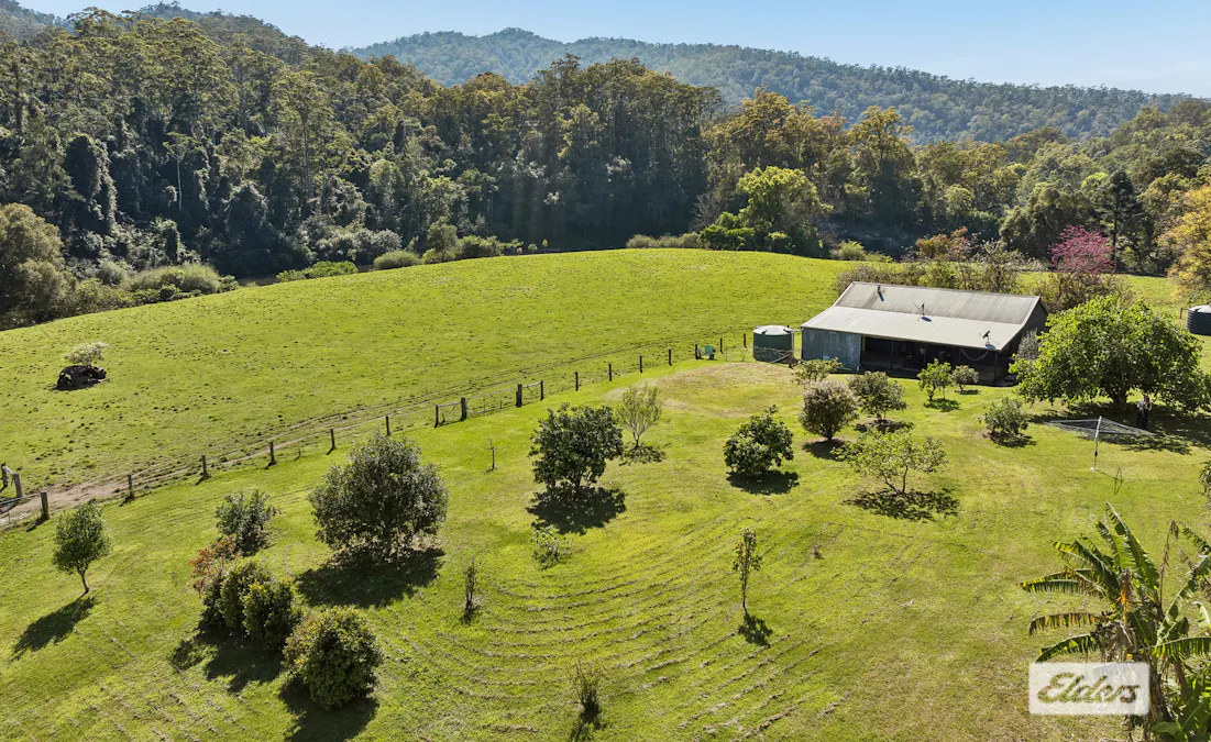 1174 Tyalgum Road, Eungella, NSW, 2484 - Image 35
