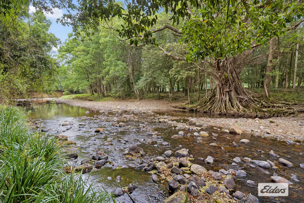 1649  Numinbah Road, Chillingham, NSW, 2484 - Image 4