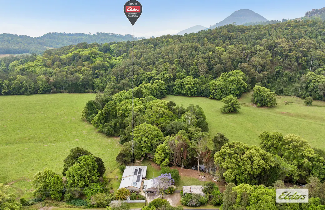 1649  Numinbah Road, Chillingham, NSW, 2484 - Image 35