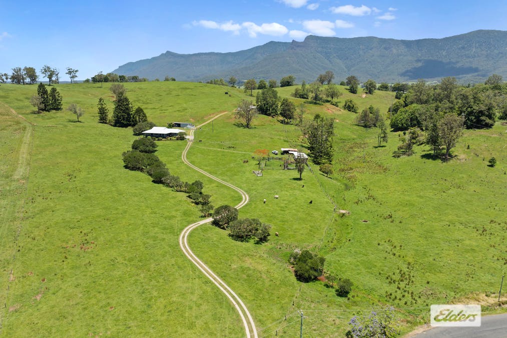 365 Tyalgum Creek Road, Tyalgum Creek, NSW, 2484 - Image 7