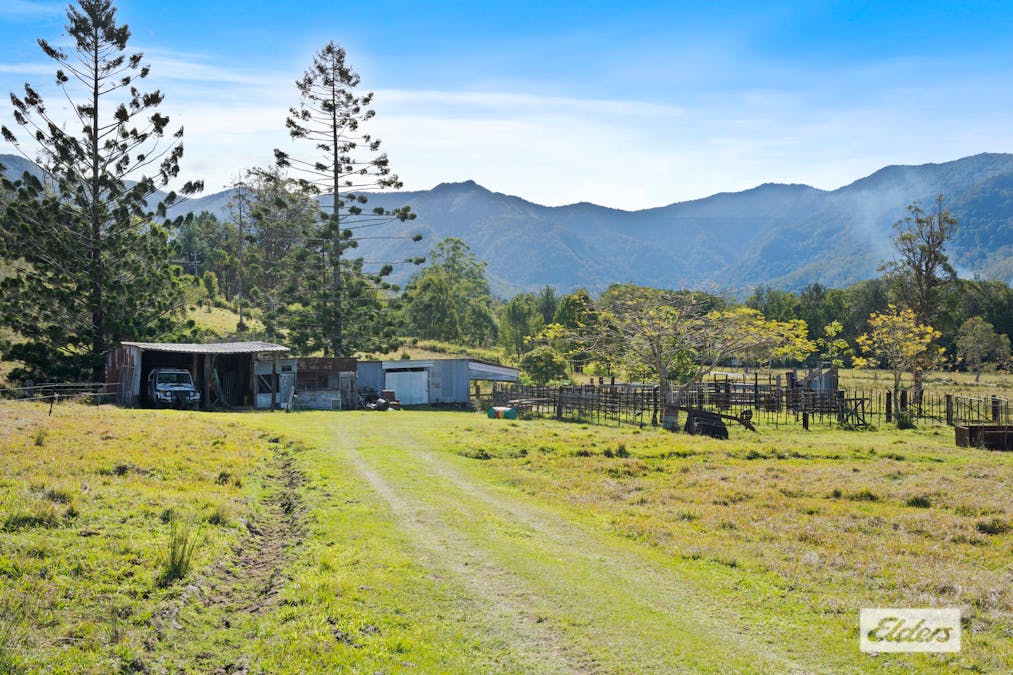 365 Tyalgum Creek Road, Tyalgum Creek, NSW, 2484 - Image 13