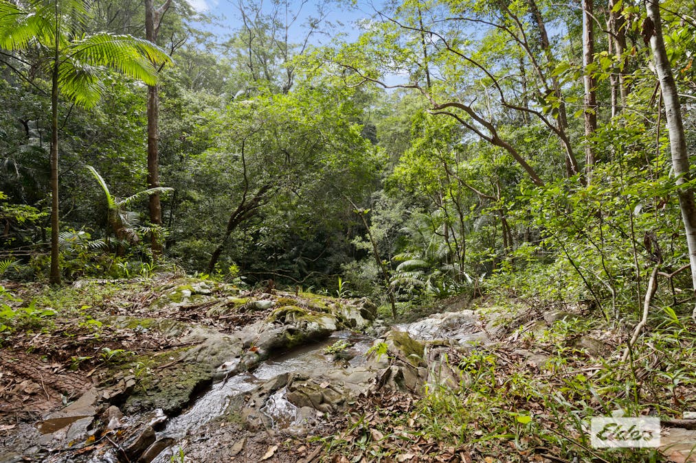 374 Couchy Creek Road, Numinbah, NSW, 2484 - Image 2