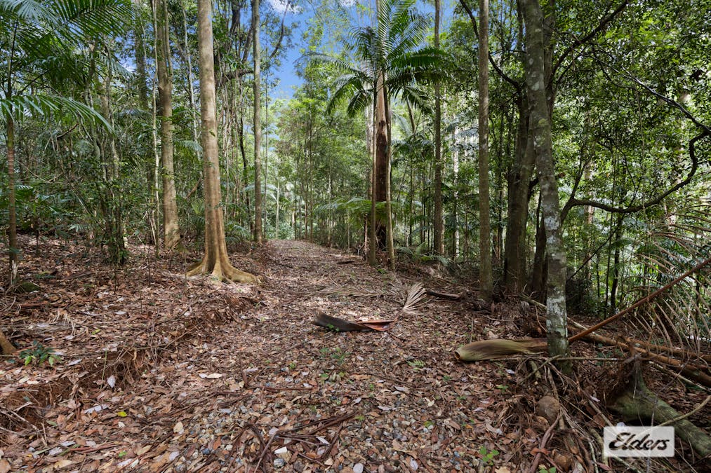 374 Couchy Creek Road, Numinbah, NSW, 2484 - Image 3