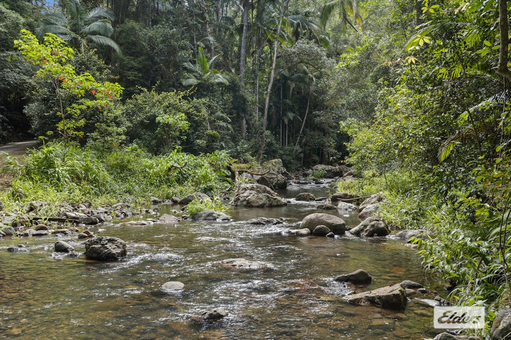 374 Couchy Creek Road, Numinbah, NSW, 2484 - Image 5