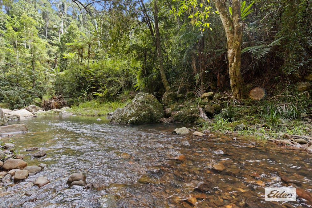 374 Couchy Creek Road, Numinbah, NSW, 2484 - Image 8