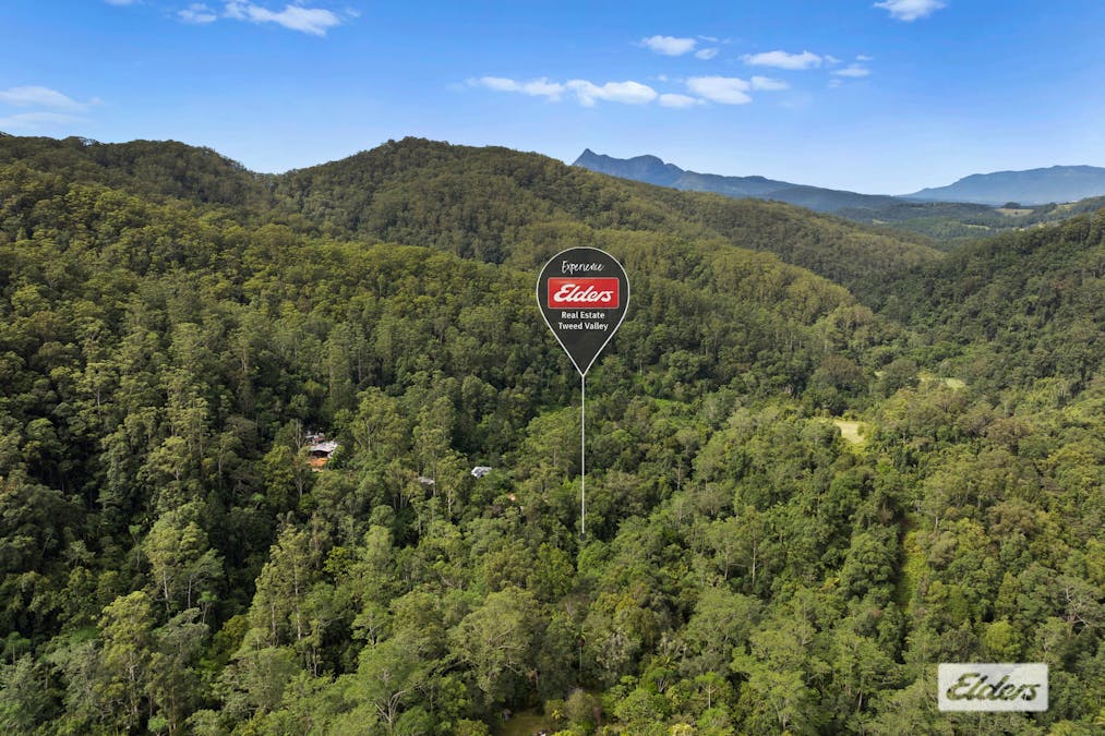 374 Couchy Creek Road, Numinbah, NSW, 2484 - Image 9
