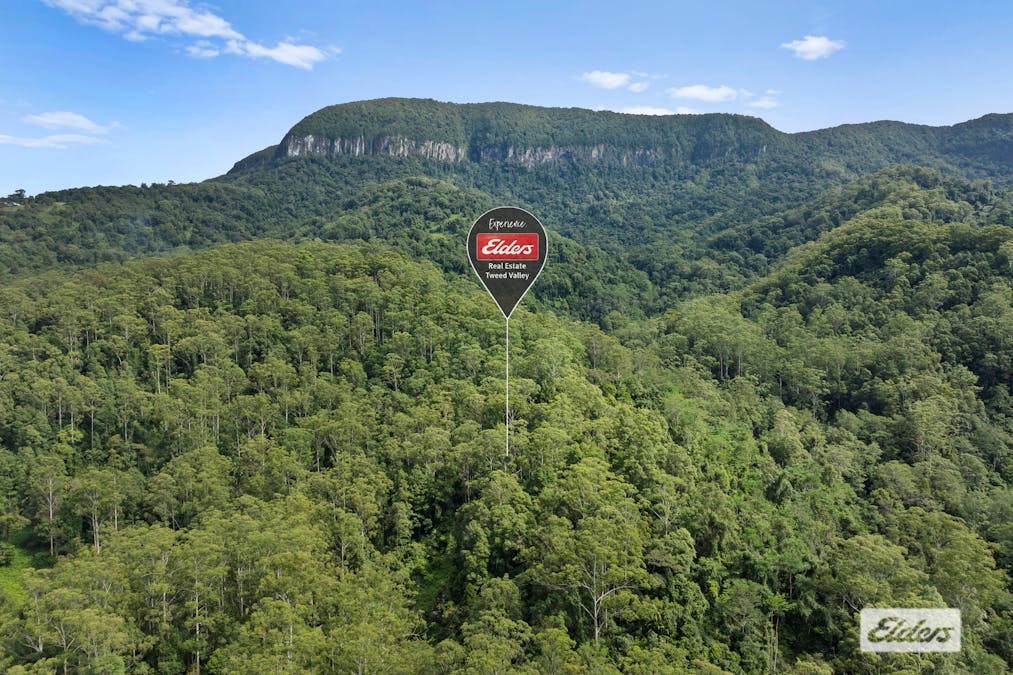 374 Couchy Creek Road, Numinbah, NSW, 2484 - Image 10