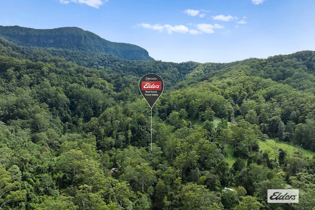 374 Couchy Creek Road, Numinbah, NSW, 2484 - Image 11