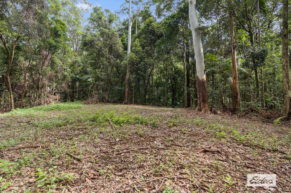 374 Couchy Creek Road, Numinbah, NSW, 2484 - Image 12
