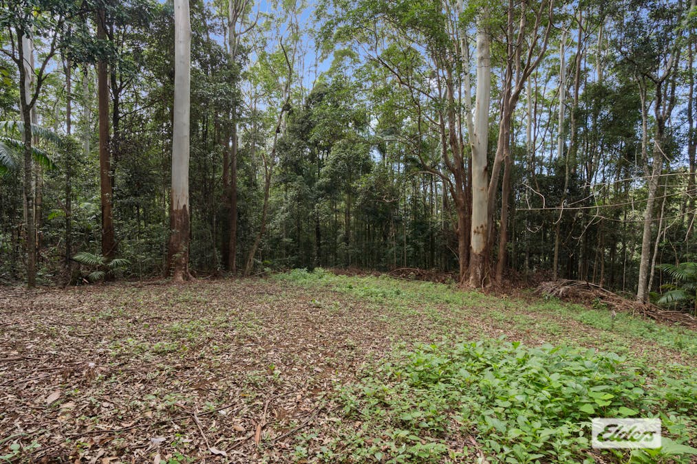 374 Couchy Creek Road, Numinbah, NSW, 2484 - Image 13
