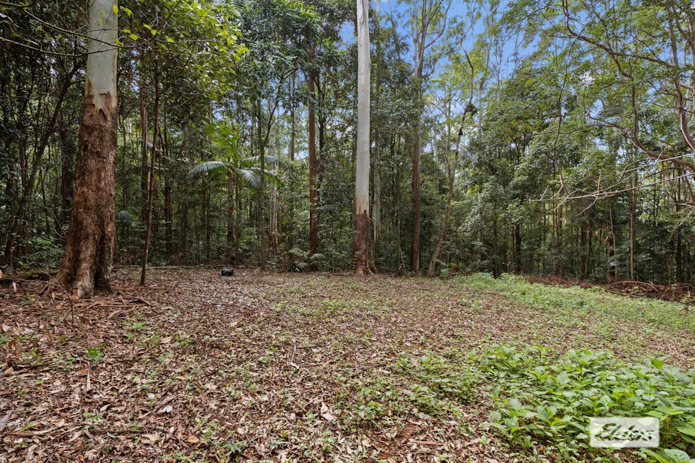 374 Couchy Creek Road, Numinbah, NSW, 2484 - Image 14