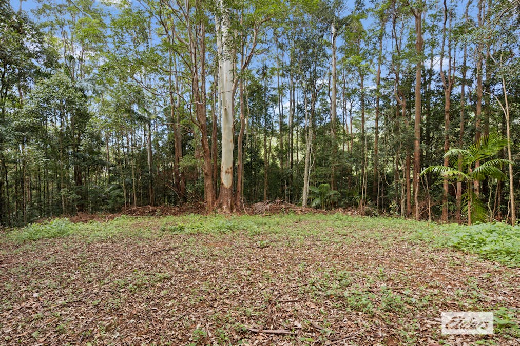 374 Couchy Creek Road, Numinbah, NSW, 2484 - Image 15
