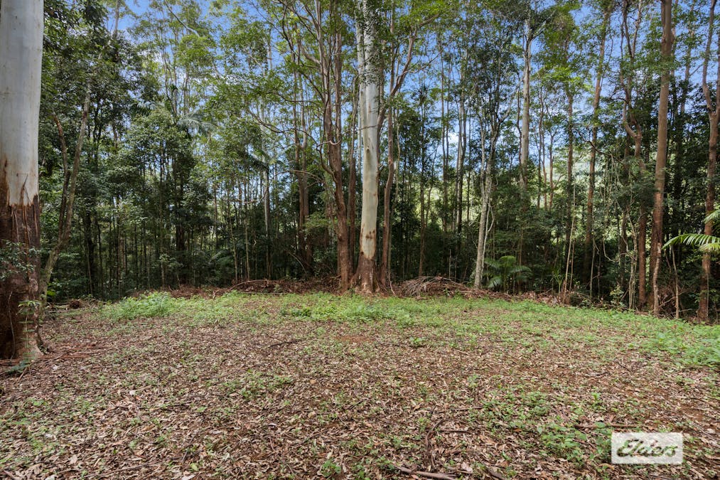 374 Couchy Creek Road, Numinbah, NSW, 2484 - Image 16