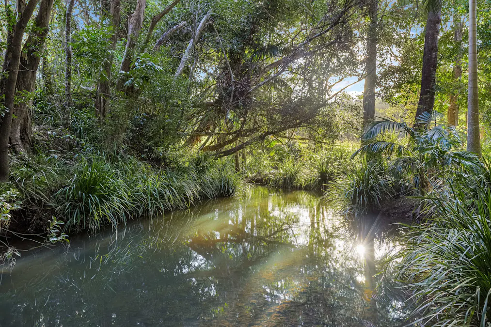 1054 Smiths Creek Road, Stokers Siding, NSW, 2484 - Image 30