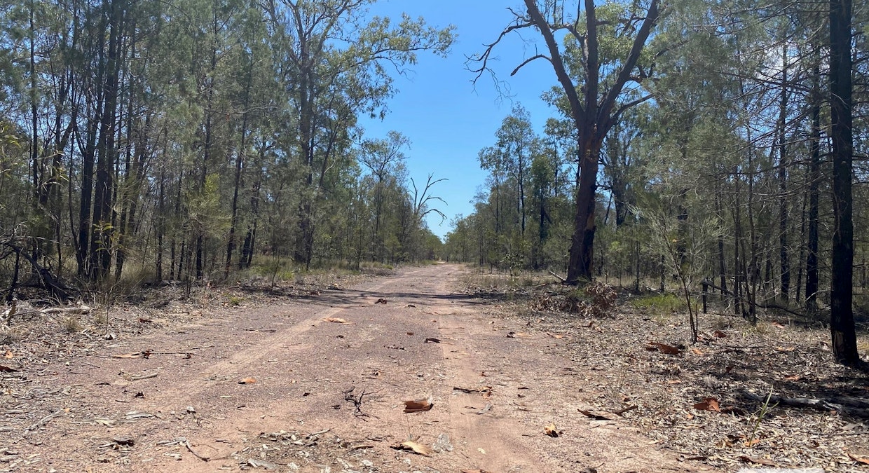 L2 Tree Creek Road, Kowguran, QLD, 4415 - Image 2