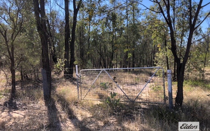 L2 Tree Creek Road, Kowguran, QLD, 4415 - Image 1