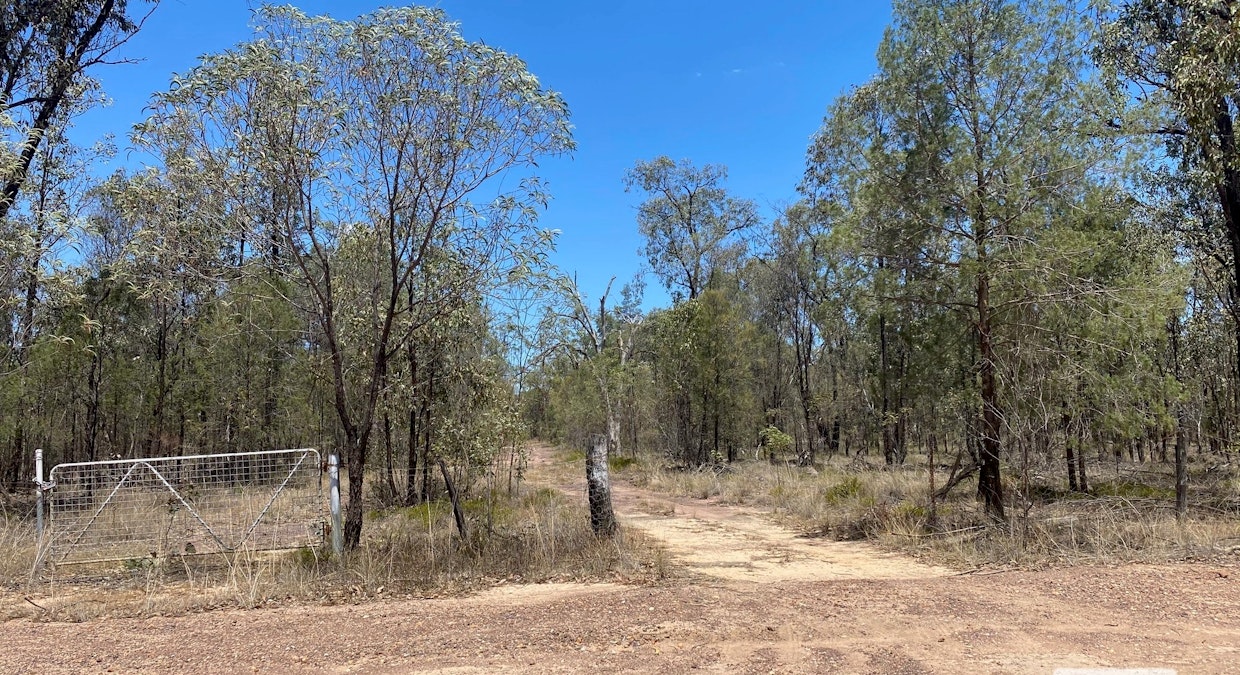 L2 Tree Creek Road, Kowguran, QLD, 4415 - Image 6