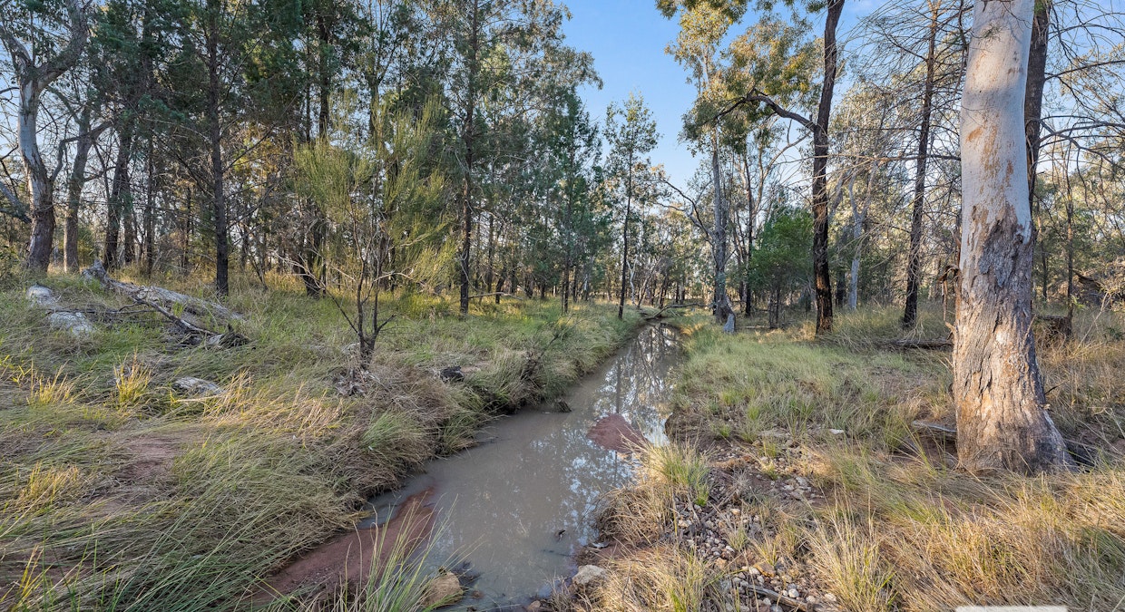 141 Paddys Creek Road, Miles, QLD, 4415 - Image 17